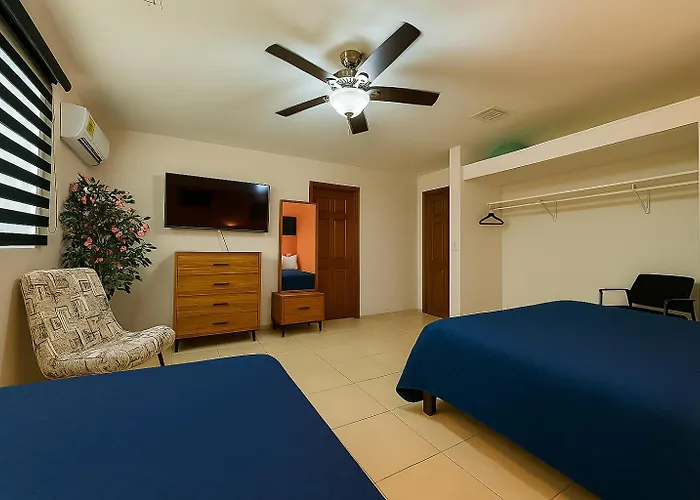 Ave Fenix Apartment